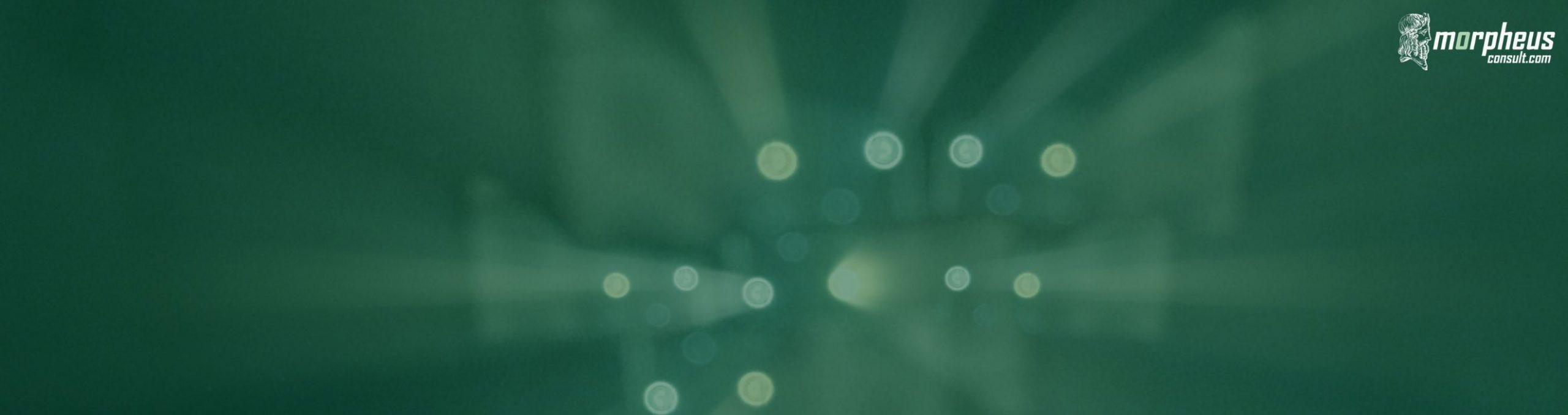 Datenschutz | CRM hub | morpheusconsult Header Datenschutz